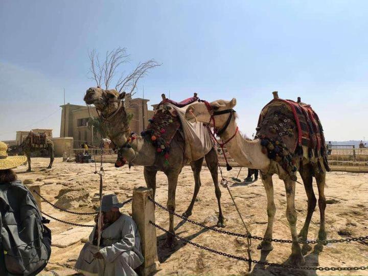 Thoth Pyramids Inn Kafret el-Gabal 外观 照片